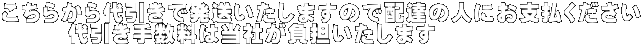 こちらから代引きで発送いたしますので配達の人にお支払ください 　　　代引き手数料は当社が負担いたします